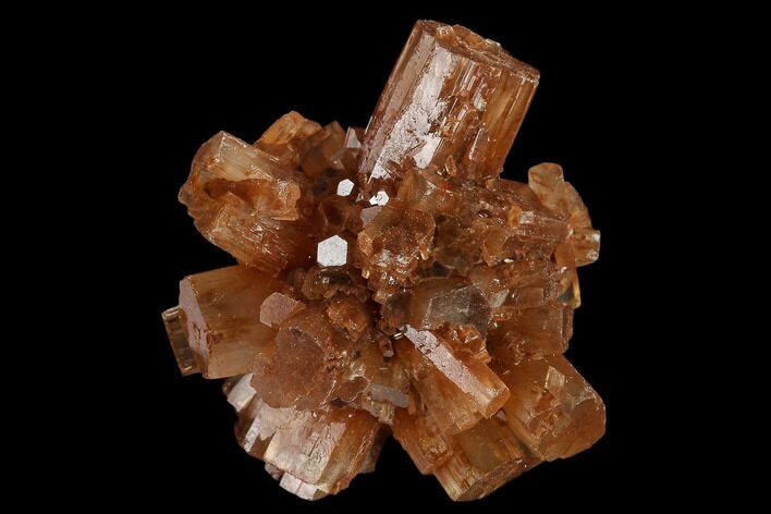 Aragonite Twinned Crystal Cluster - Morocco #134915